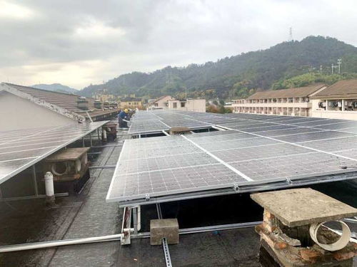 厉害了 屋顶上太阳能发电,校园里智能路灯,浙农林大一年高科技节能166万度